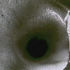 IPV-GT230 - Imagen 6